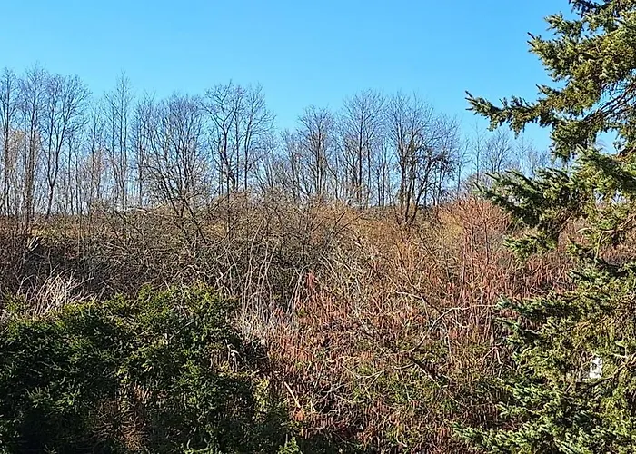 Appartement Ravelblick